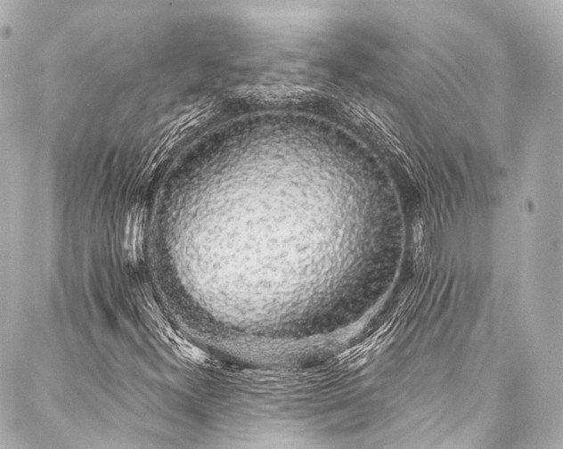 X0000088021300200705111119