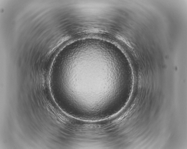 X0000088021305200705111119
