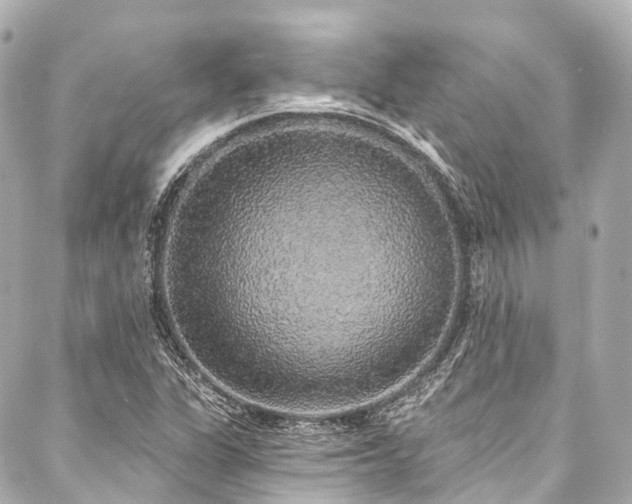 X0000088021311200705111119
