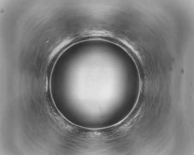 X0000088021317200705111119