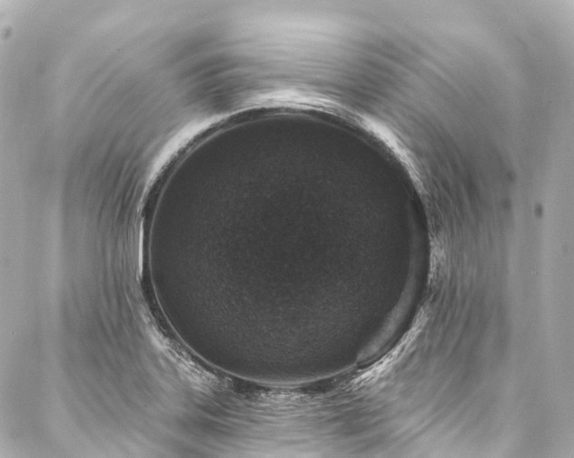 X0000088021323200705111119
