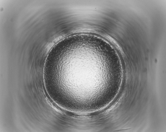 X0000088021337200705111120