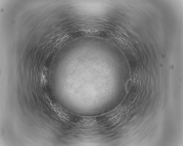 X0000088021346200705111119
