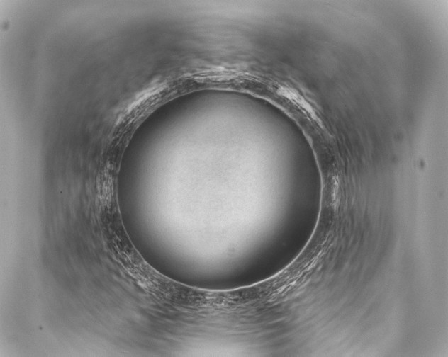 X0000088021350200705111119