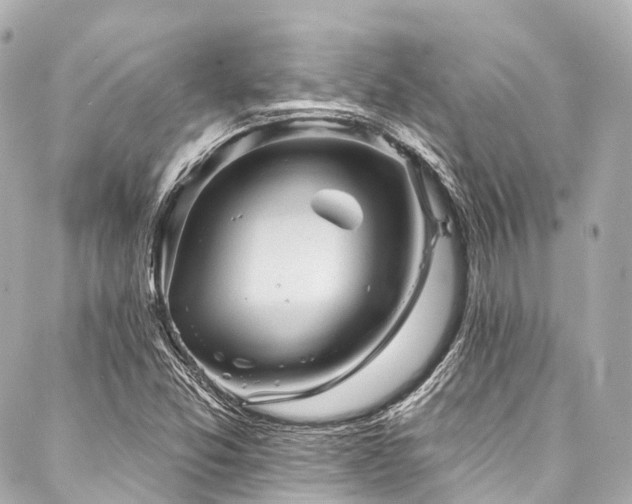 X0000088021357200705111119