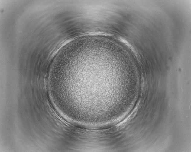 X0000088021361200705111119