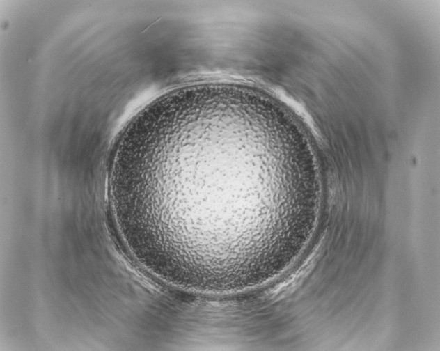 X0000088021365200705111119