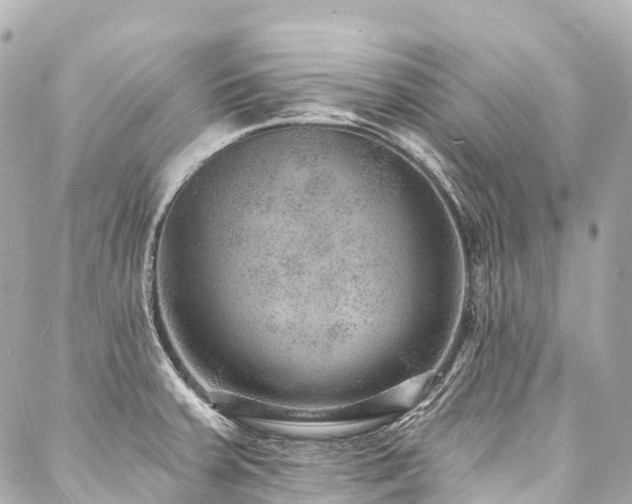 X0000088021379200705111118