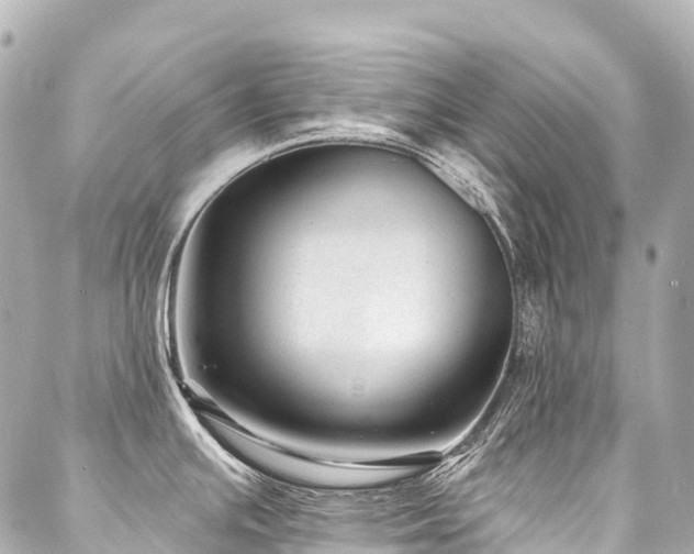 X0000088021391200705111118