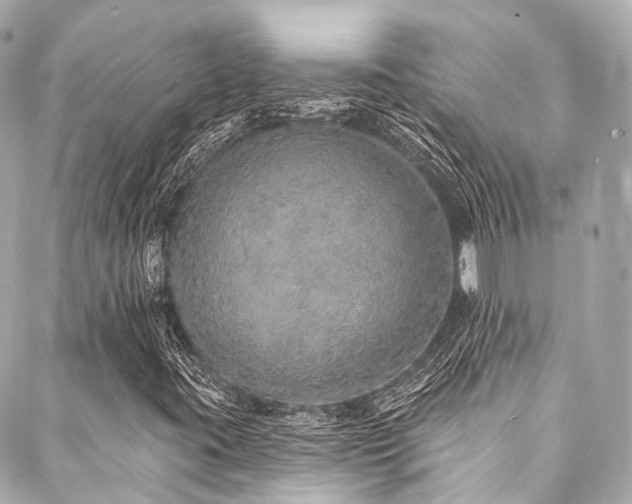 X0000088021395200705111117