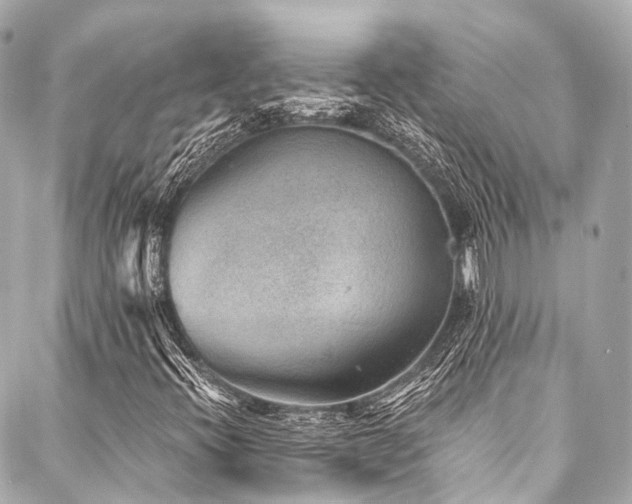 X0000088021396200705111117