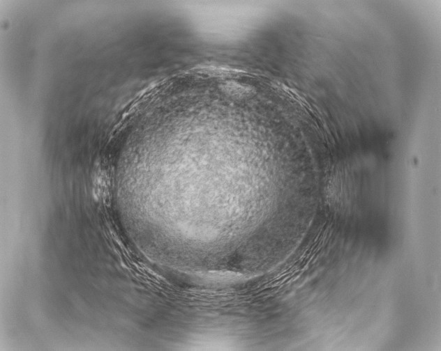 X0000088021397200705111117