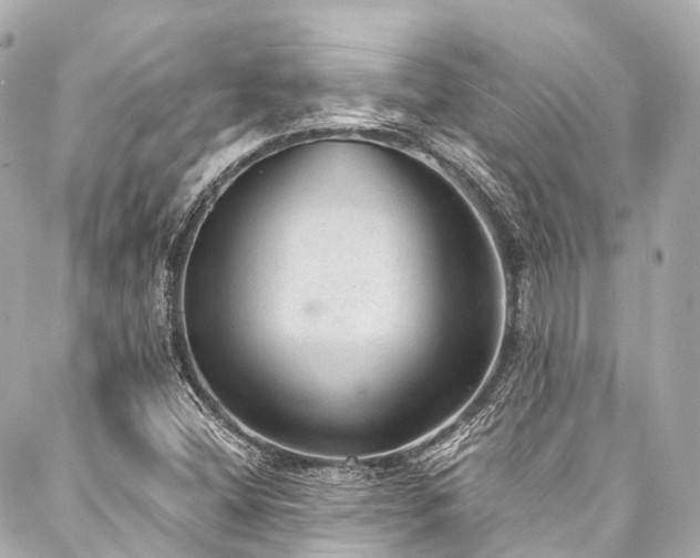 X0000088021404200705111118