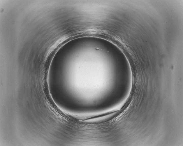 X0000088021410200705111118