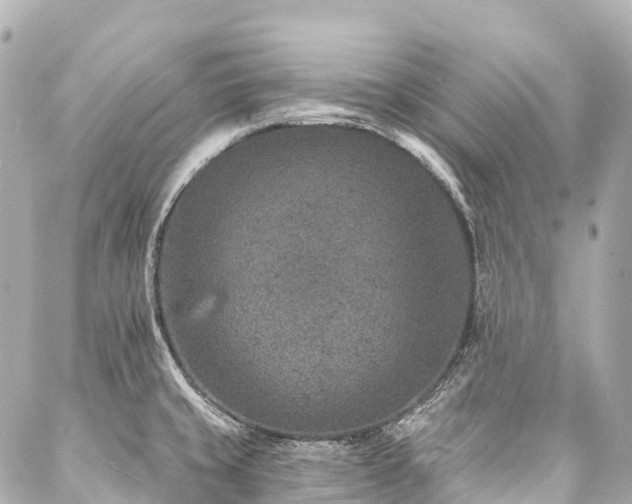 X0000088021429200705111118