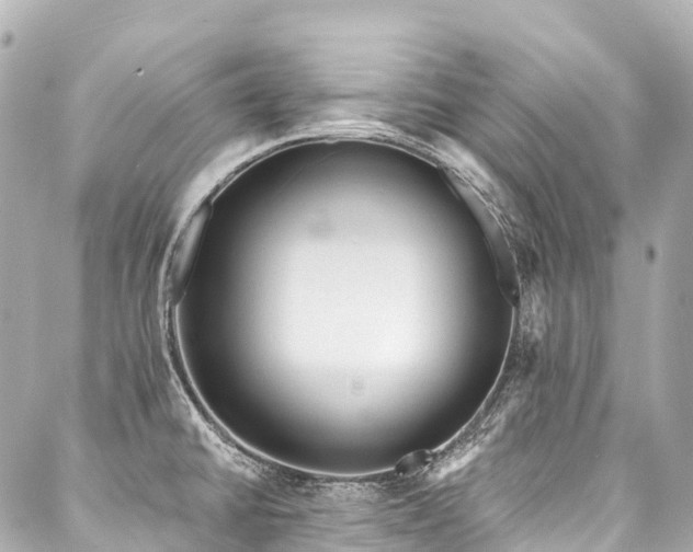 X0000088021430200705111118