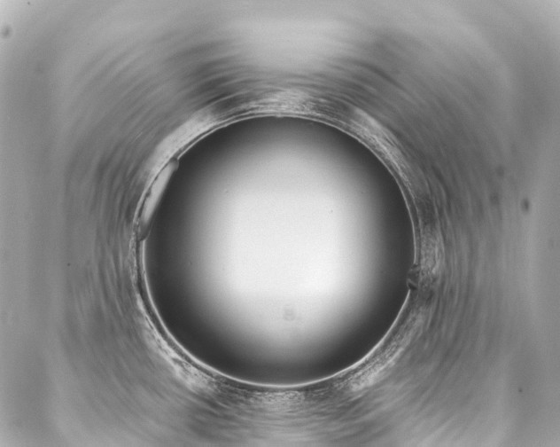 X0000088021434200705111118