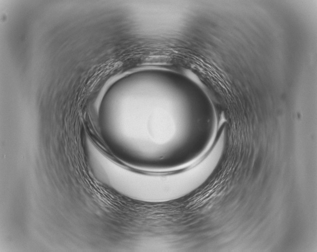 X0000088021441200705111117