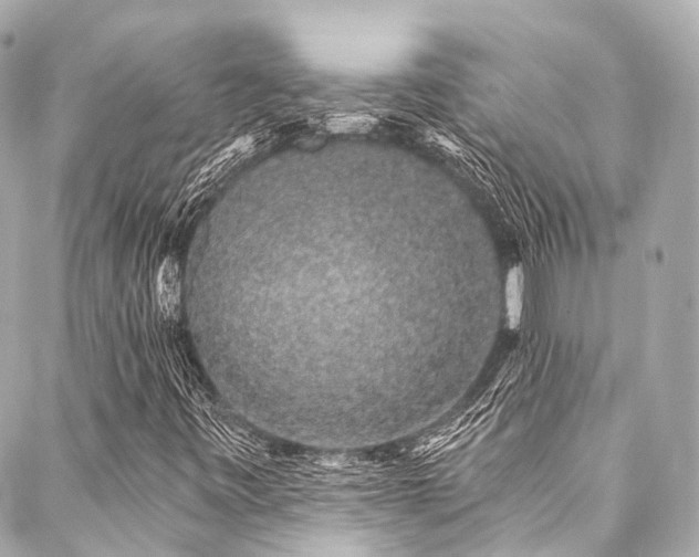 X0000088021443200705111117