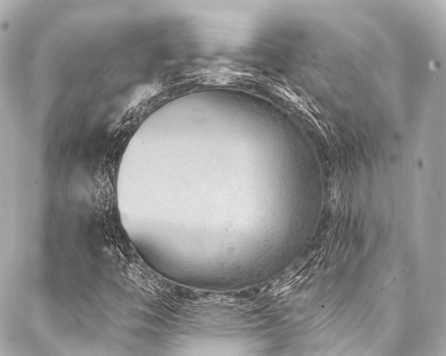 X0000088021446200705111117