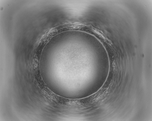 X0000088021447200705111117