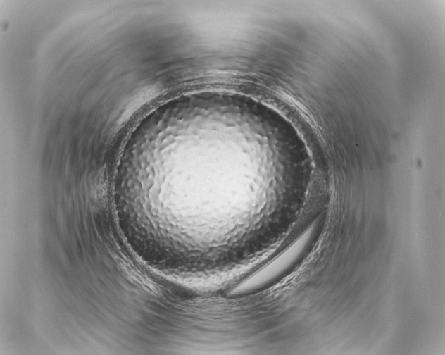 X0000088021450200705111117