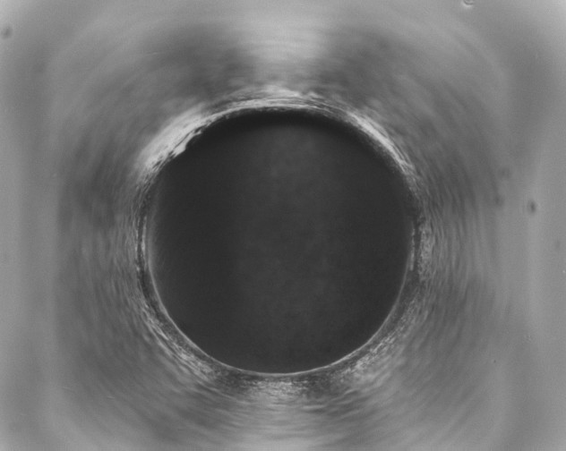 X0000088021455200705111117