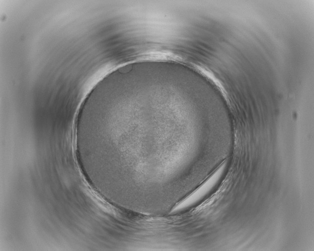 X0000088021467200705111117