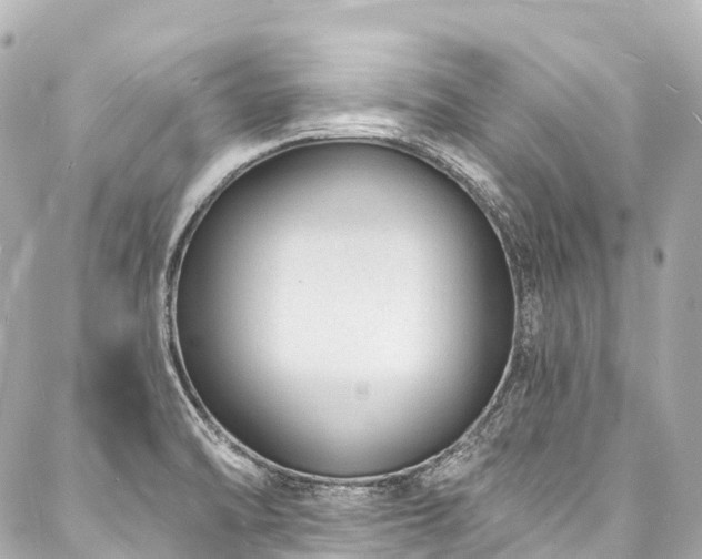 X0000088021470200705111117