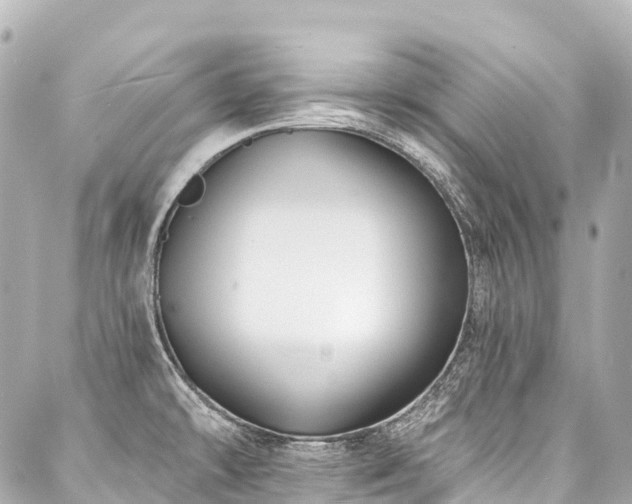 X0000088021478200705111117