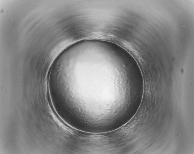 X0000088021479200705111117
