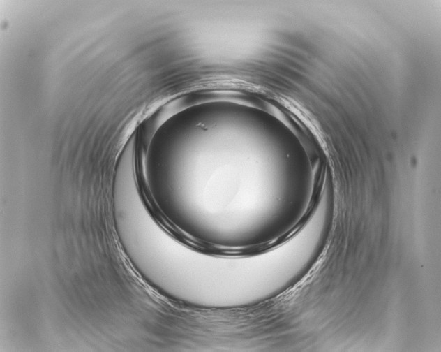 X0000088021481200705111117