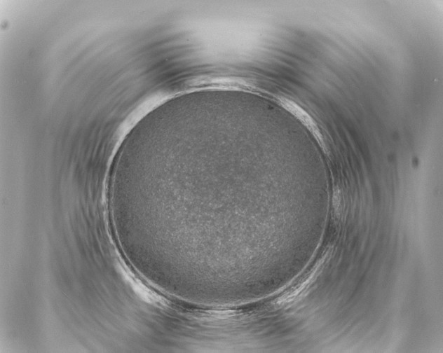 X0000088021482200705111117