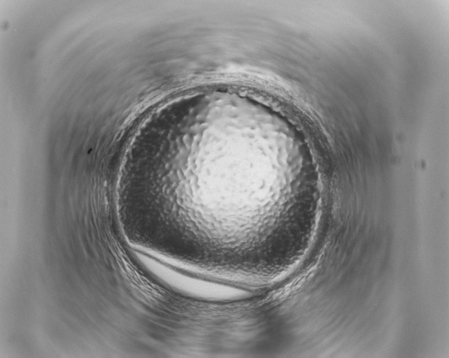 X0000088021497200705111116