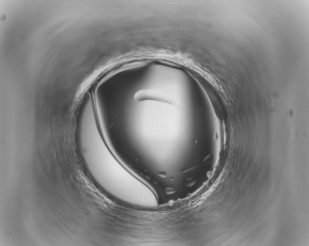 X0000088021502200705111116
