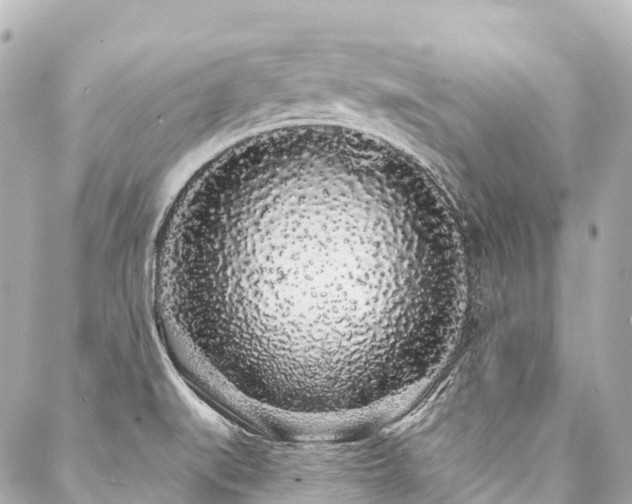 X0000088021519200705111116