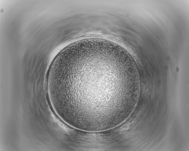 X0000088021527200705111116