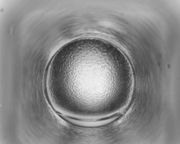 X0000088021533200705111117