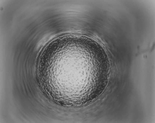 X0000088020002200705182012