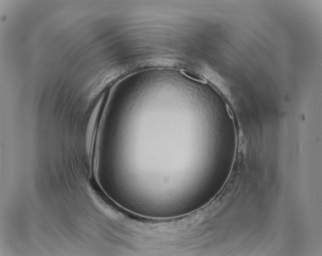 X0000088020013200705182012