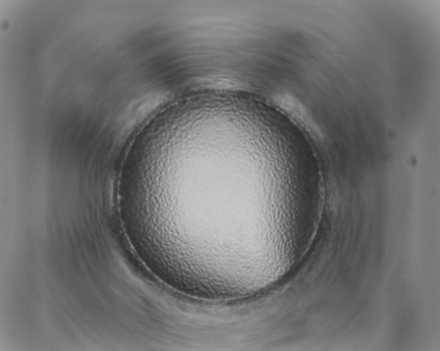 X0000088020014200705182012