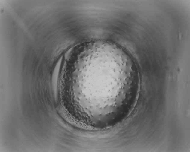 X0000088020017200705182012