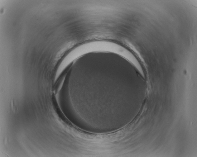 X0000088020019200705182012