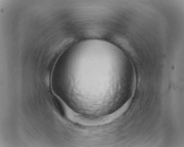 X0000088020021200705182012