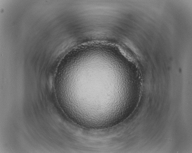 X0000088020022200705182012
