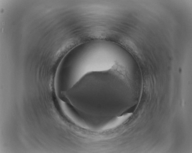 X0000088020023200705182012