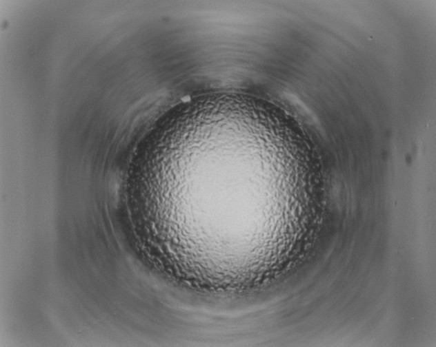 X0000088020026200705182012