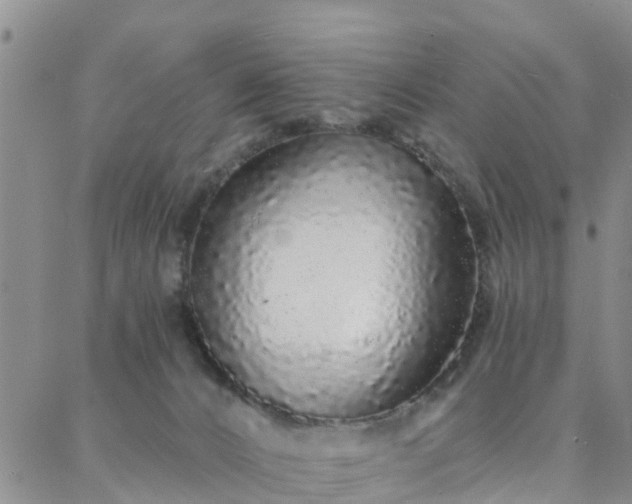 X0000088020032200705182011