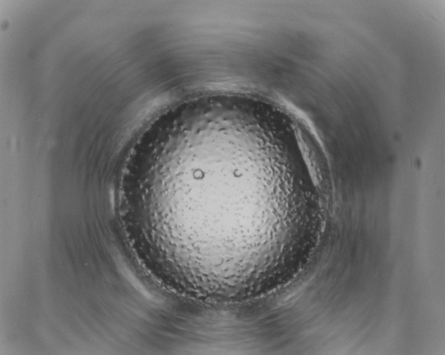 X0000088020061200705182011