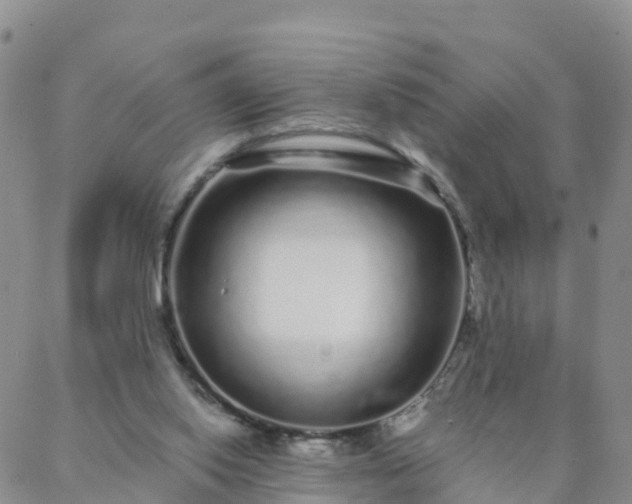 X0000088020062200705182011